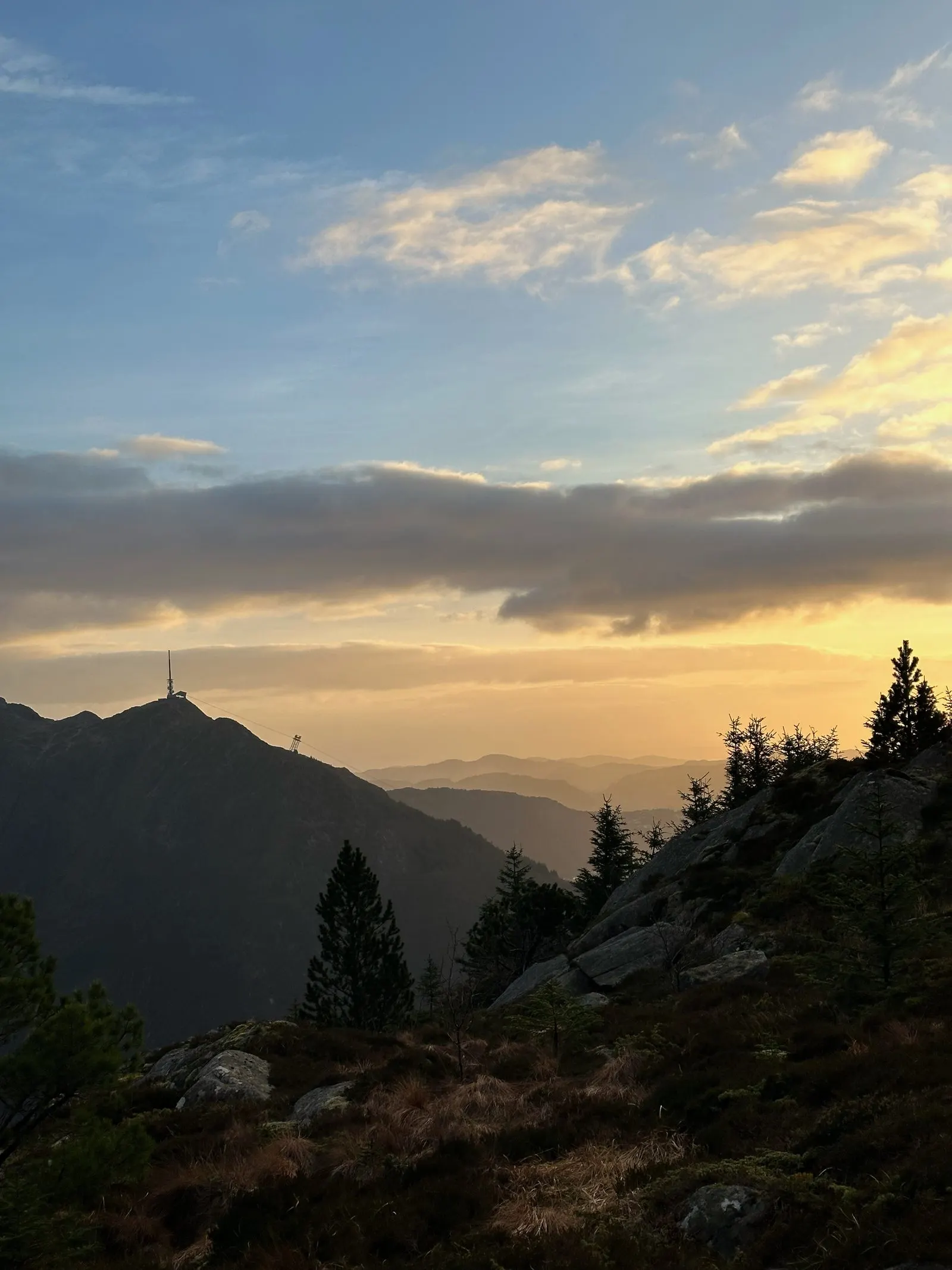 Solnedgang over fjell og skog med gyllen himmel